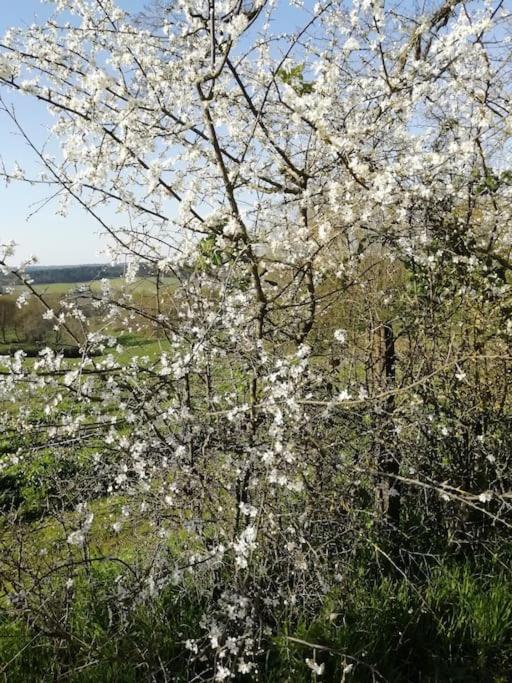 Gite Aux Bois D'En Temps Lunas  外观 照片