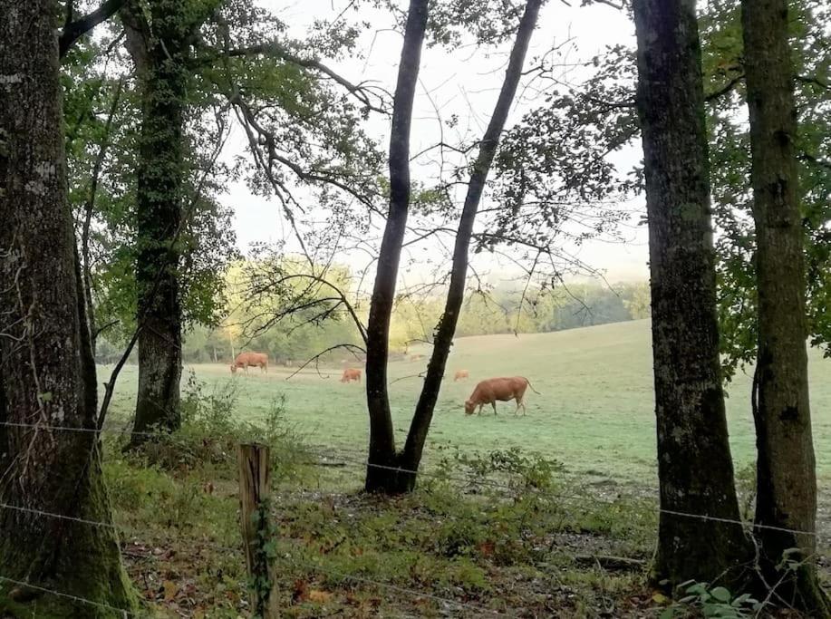 Gite Aux Bois D'En Temps Lunas  外观 照片