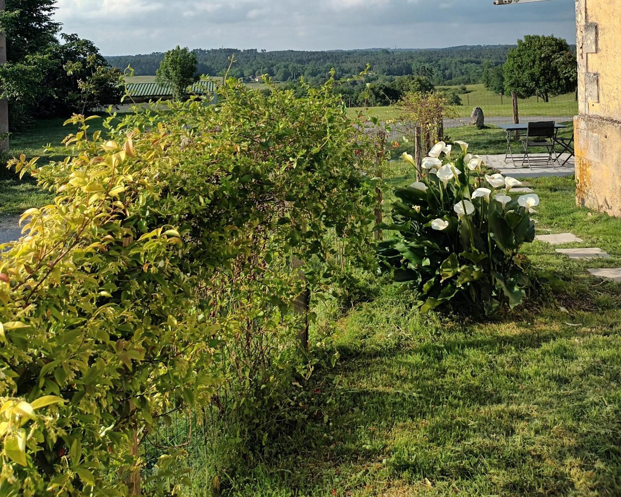 Gite Aux Bois D'En Temps Lunas  客房 照片